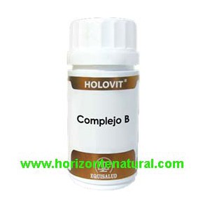 Holovit Complejo B 180 Compr.