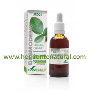 Extracto SXXI Desmodens 50ml Soria Natural