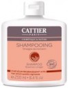 Champú Cabello Graso Vinagre Romero (Cattier)