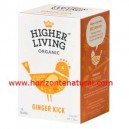 Infusión Jengibre 15 Filtros Higher Living